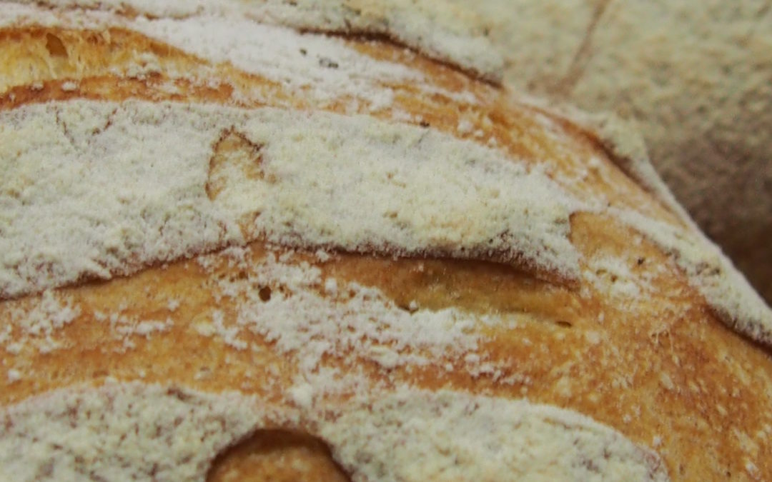 Animation Pain : les réalisations de nos participants – jeudi 18/05/2017